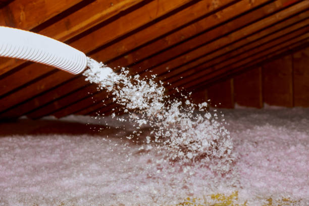 Best Insulation Installation Services in Swift Trail Junction, AZ