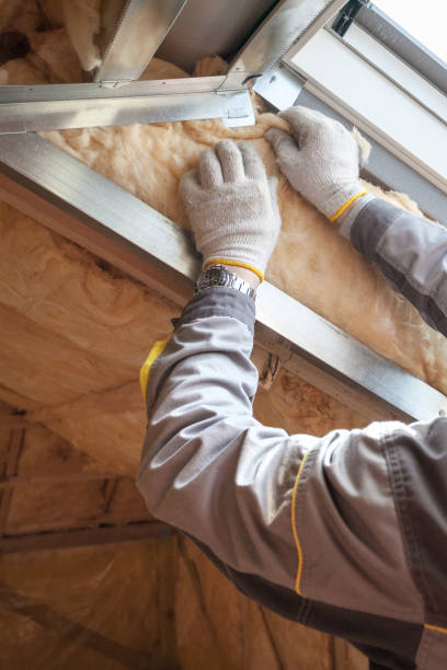 Best Insulation Maintenance and Repair in Swift Trail Junction, AZ